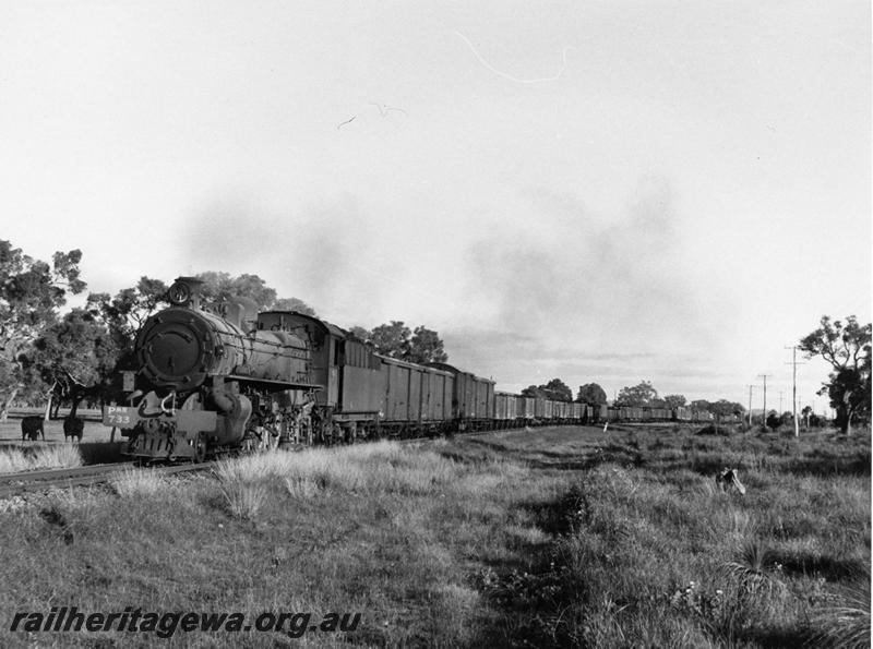 P00736
PMR class 733, SWR line, goods train
