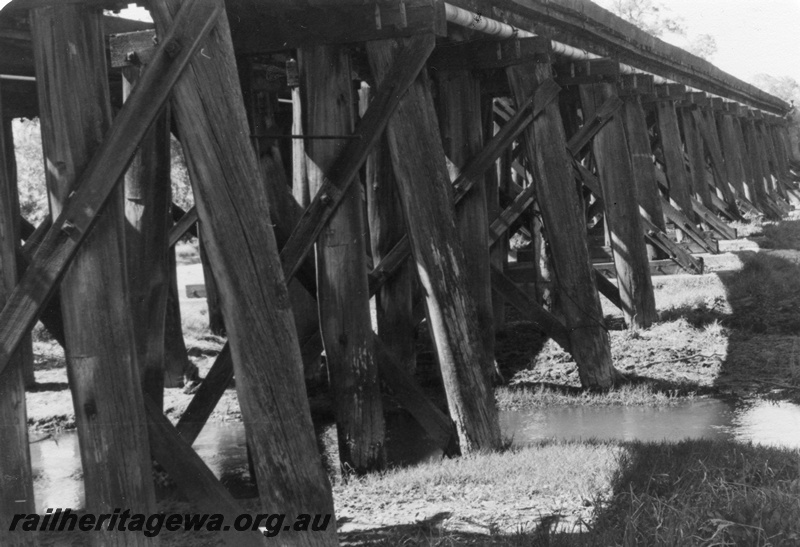 P01409
4 of 16 images of the pair of trestle bridges over the Canning River at Gosnells, SWR line, ground level view under the bridges from the north west
