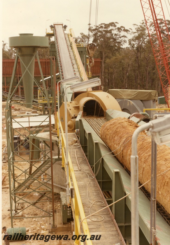 P01625
Woodchip mill, Manjimup, log on conveyor belt to the chipper
