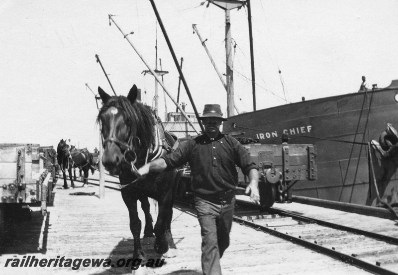 P02145
35 of 44 views of the construction of the railway at Esperance, CE line taken by Cedric Stewart, the resident WAGR engineer, horse shunting wagons on the Esperance jetty, ship 