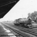 Filename=P03113.jpg
Filesize=113KiB
Dimensions=600x600
Date added=Sep 27, 2016 P03113.jpg