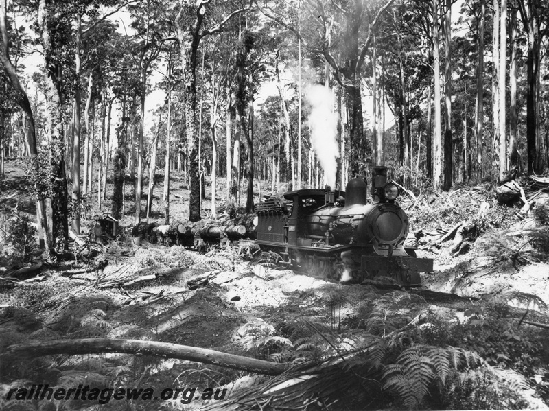 P03527
SSM Loco No 2 Hauling a log train c1950
