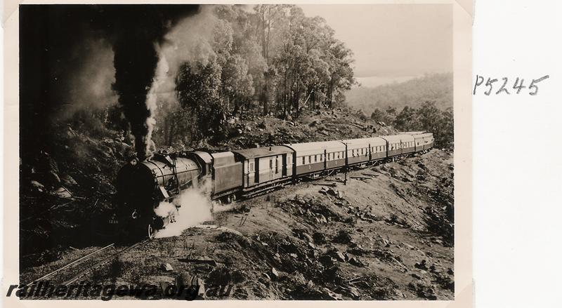 P05245
V class 1220, BN line, last steam tour by the ARHS
