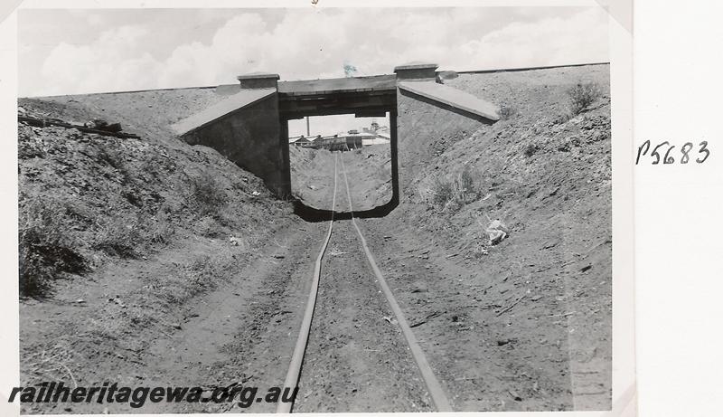 P05683
Sons Of Gwalia railway, subway under the WAGR line at Gwalia, KL line, side on view of the subway looking along the Sons Of Gwalia line. Same as P04795
