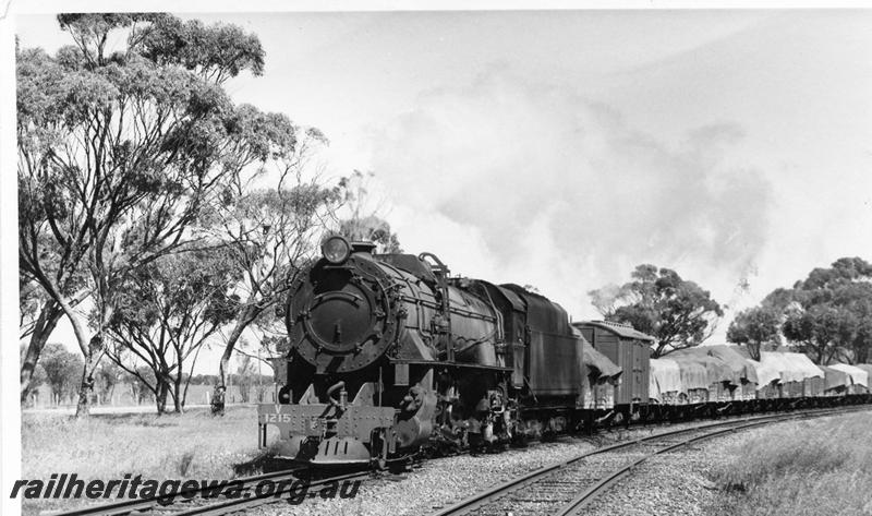 P05896
V class 1215, near Spencers Brook, ER line, goods train
