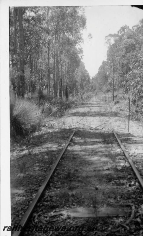 P05958
End of the line on an Unknown bush tramway
