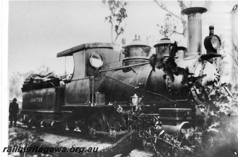 P05962
Millars loco 