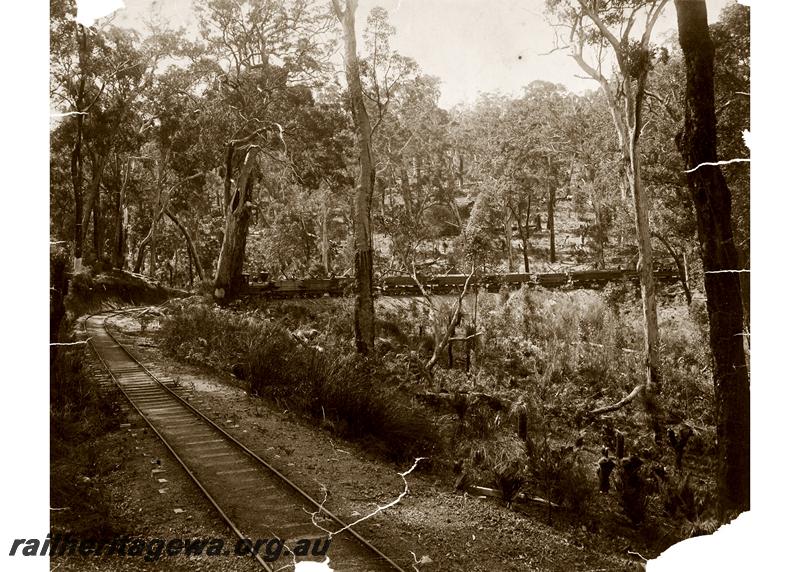 P06677
Log train, Jarrahdale bush, being hauled by the loco 