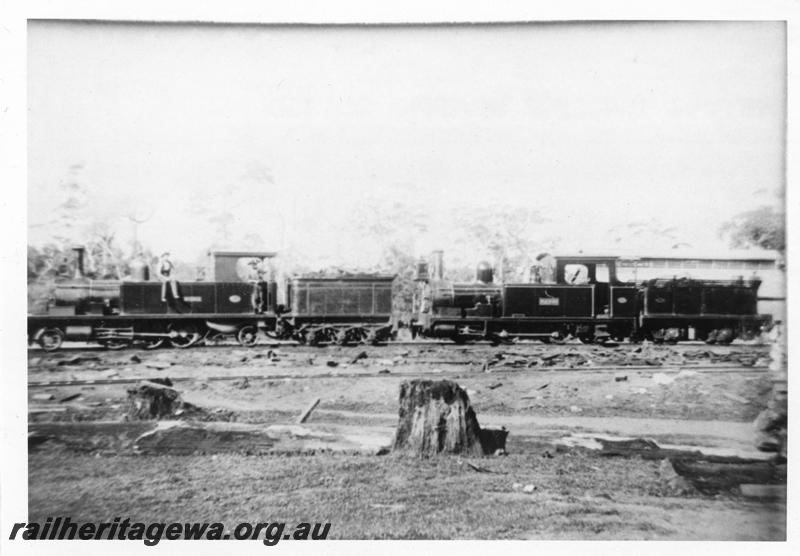 P07964
Millars locos 