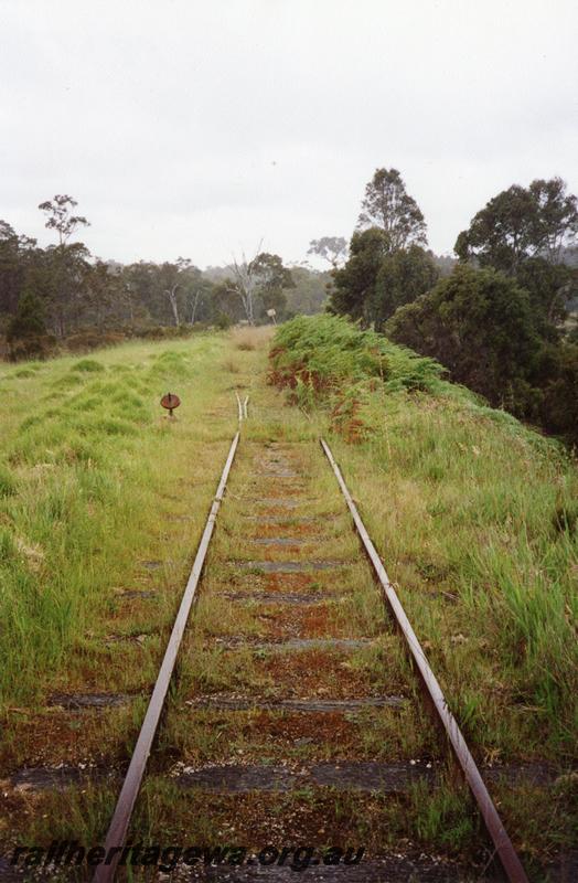 P08377
Overgrown track, town end of mill, Northcliffe, PP line
