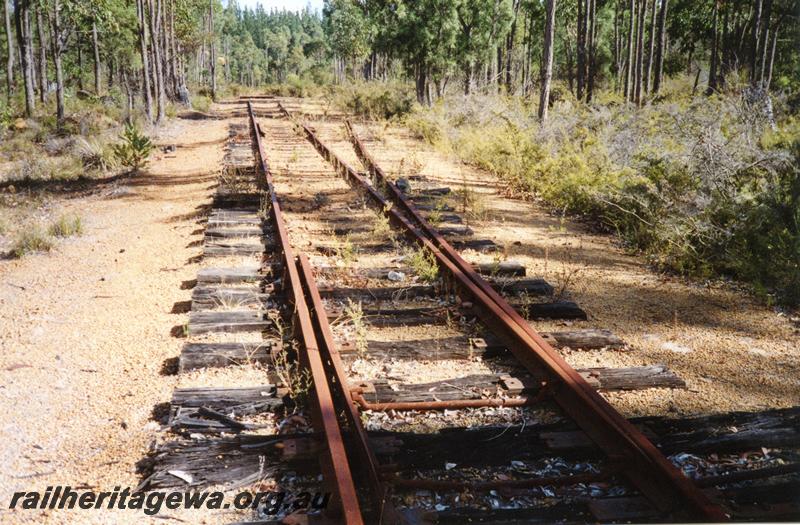 P08382
Track, loop at Quilerup, WN line, out of use, view along track 
