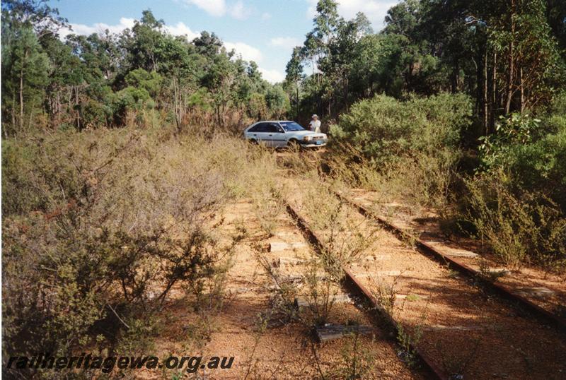 P08384
Siding, Claymore, WN line, view along track towards the road crossing, track overgrown

