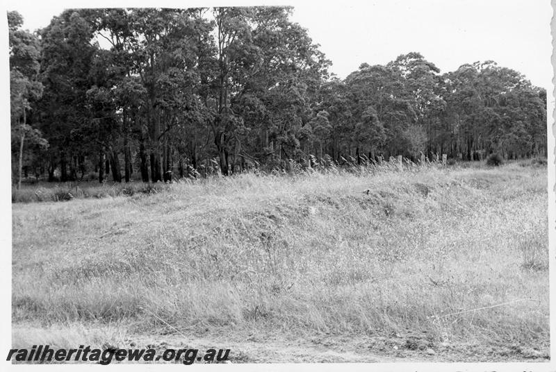 P09420
Quindalup, formation. BB line.
