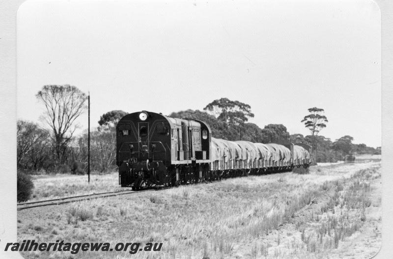 P09481
F class 42, F class 43, goods train near Hyden. LH line.
