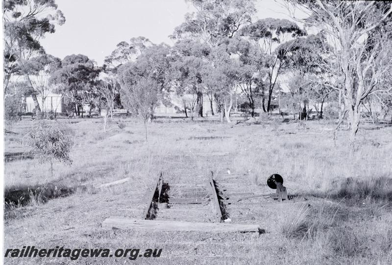 P09483
Dudinin, remains of triangle, wheat bin in background. NKM line.
