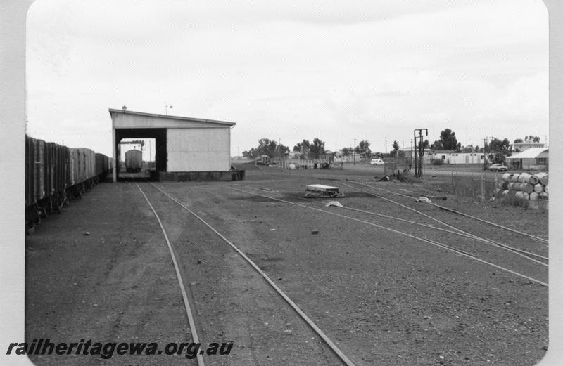 P09509
Meekatharra yard, goods shed, gantry beyond goods shed, wagons in yard, scotch blocks. NR line, same a P11159
