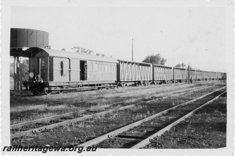 P09578
ZA class brakevan trailing a train of TA class bogie cattle wagons, water tower with a cylindrical tank, unknown location.
