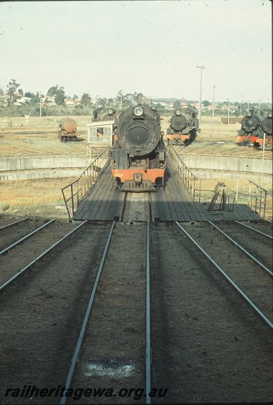 P09976
V class 1214, turntable, W class in background, Collie loco shed. BN line.
