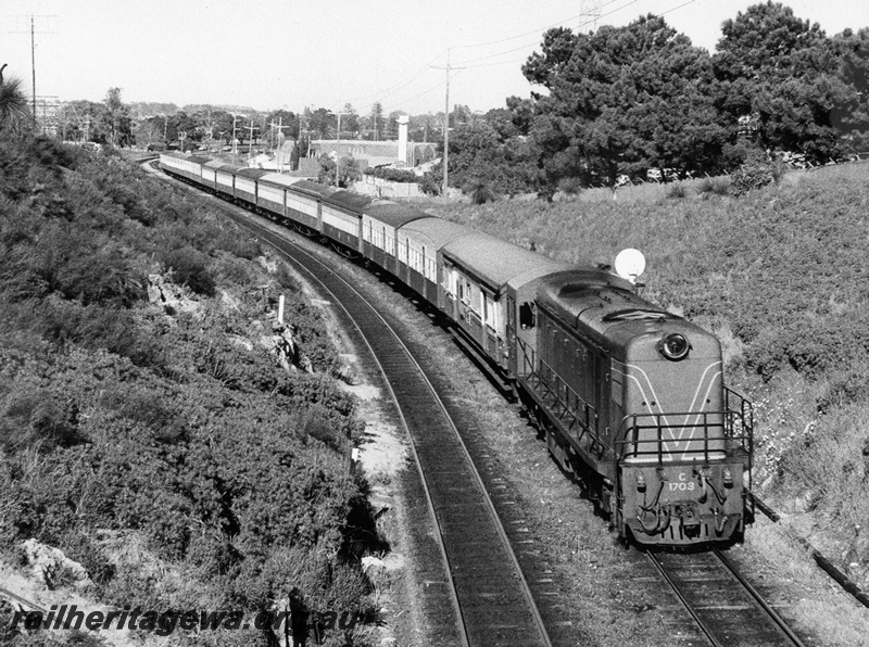 P10296
C class 1703 in green livery heading a long passenger train, maybe a tour train, near Showgrounds
