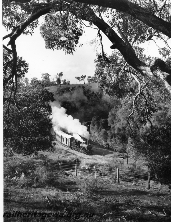 P10459
G class 233 steam locomotive hauling the Vintage Train between Beela and Brunswick Junction. BN line. This was a hired passenger special from Bunbury Jetty to Beela and return for crew of Leander-class frigate HMS Scylla of the Royal Navy. The train consisted of three ACM Class suburban dogbox carriages sandwiched between two Z Class brakevans. 
