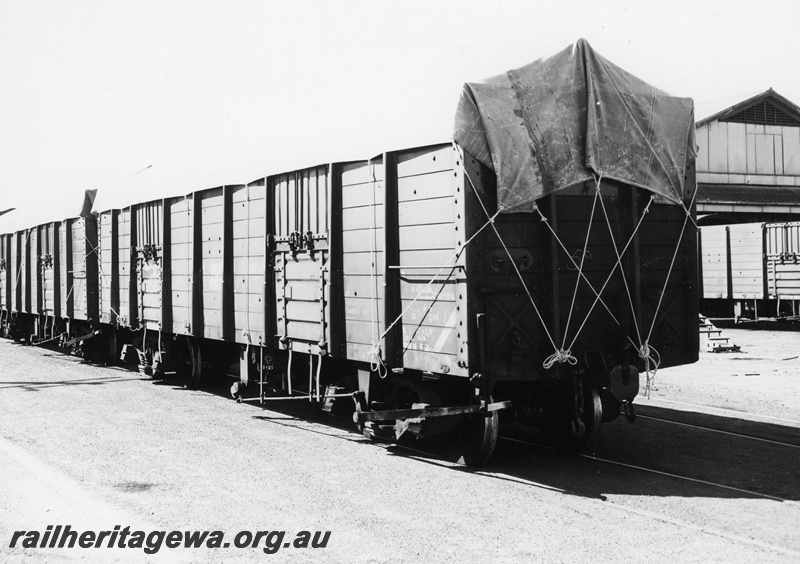 P10686
RCW class 2404? bogie bulk wheat with a tarpaulin covering applied.
