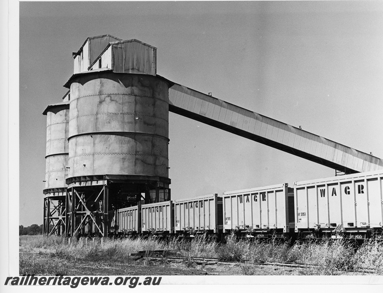 P10704
Mineral sand containers, on QW class flat top wagons, being loaded at Eneabba. DE line.
