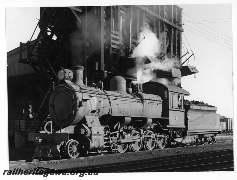 P10994
F Class 419, coal stage, front and side view, Bunbury loco depot
