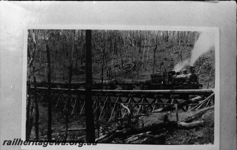 P11173
Kauri Timber Co. locomotive 