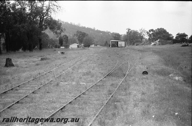 P11215
Goods shed, yard overgrown with weeds, Boddington, PN line, view along the yard.
