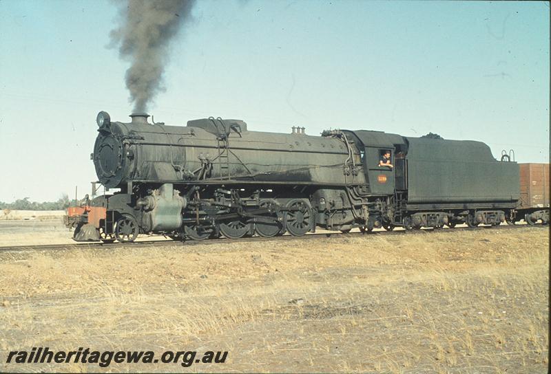P11266
V class 1219, goods train. GSR line.
