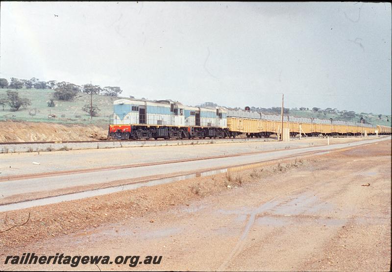 P11493
H class 4, H class, wheat gondolas with fittings, Avon yard. Avon Valley line.
