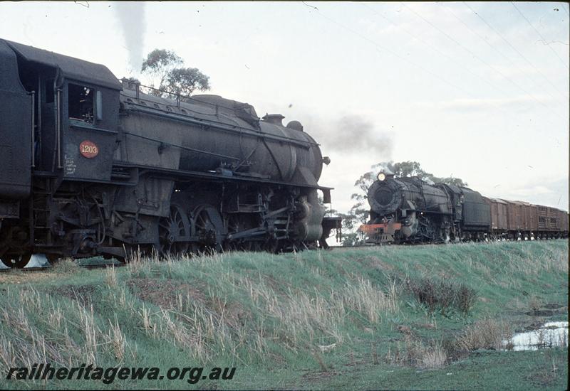 P11500
V class 1203, crossing V class. GSR line.
