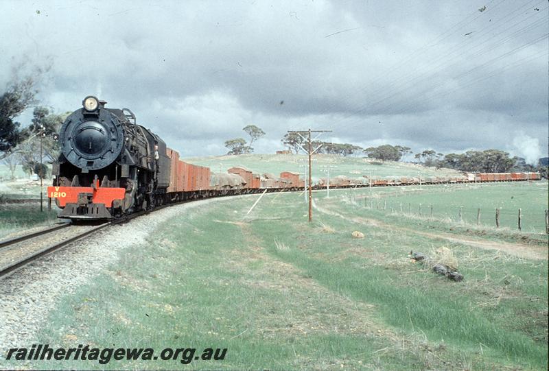 P11523
V class 1210, assisted in rear of train by V class 1201, Cuballing bank. GSR line.
