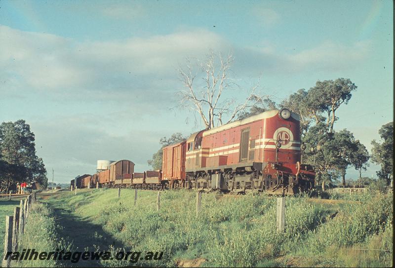 P12238
F class 41 in MRWA livery and with 