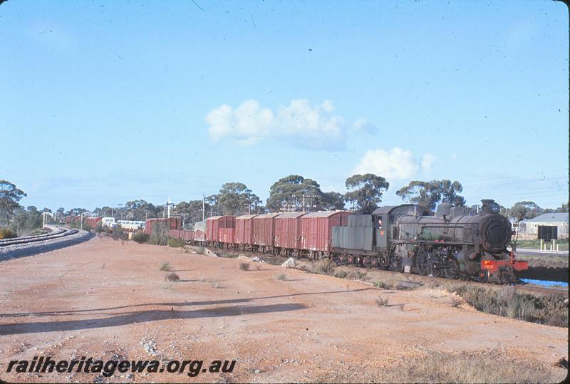 P12264
PM class 708, up goods train, entering Meckering, SG line on left. EGR line.
