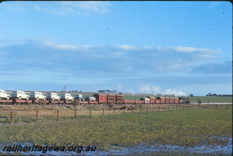 P12266
PM class 708, up goods train, level crossing west of Meckering. EGR line.
