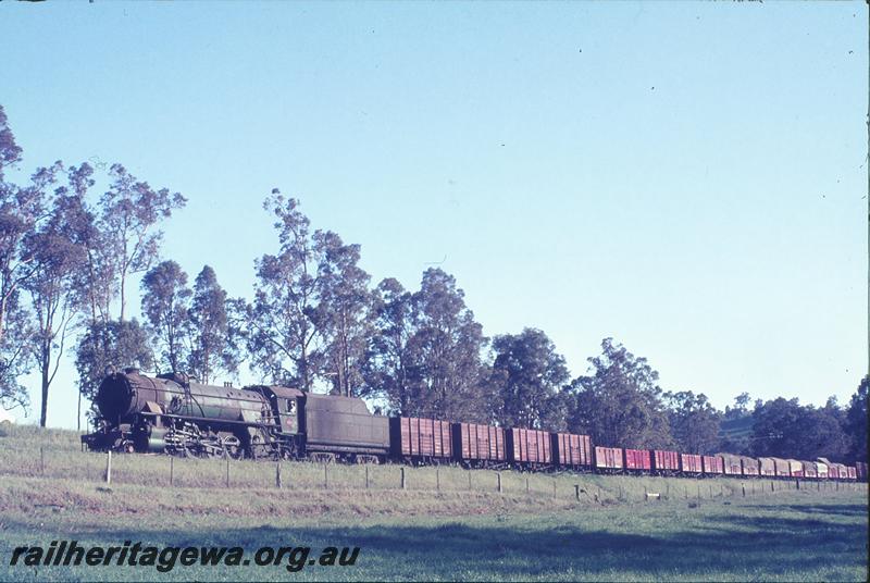 P12316
V class 1203, goods, near Olive Hill. BN line.

