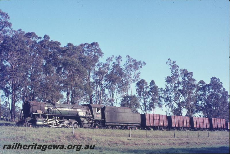 P12317
V class 1203, goods, near Olive Hill. BN line.
