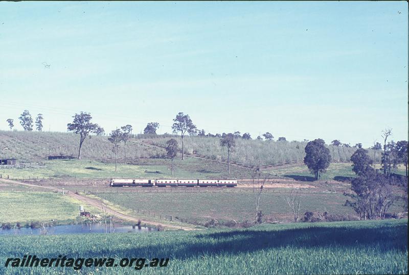P12320
Wildflower train, tour train, near Glenlynn. PP line.
