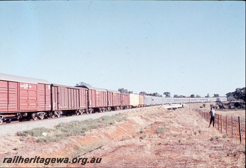 P12336
ROA coaches, near Woodbridge South. SG line.
