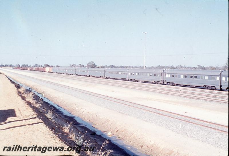 P12337
ROA coaches, Kewdale, near loco shed. SG line.
