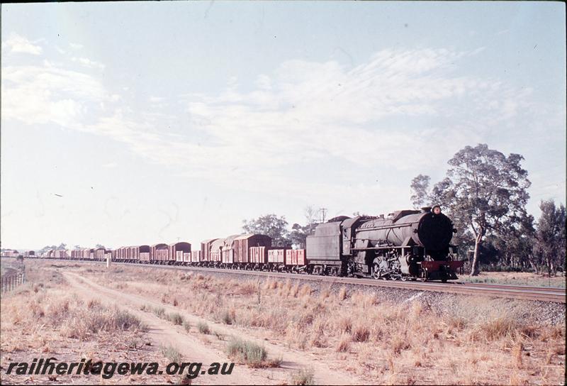 P12344
V class 1205, 24 goods near Farrell Road. Avon Valley line.

