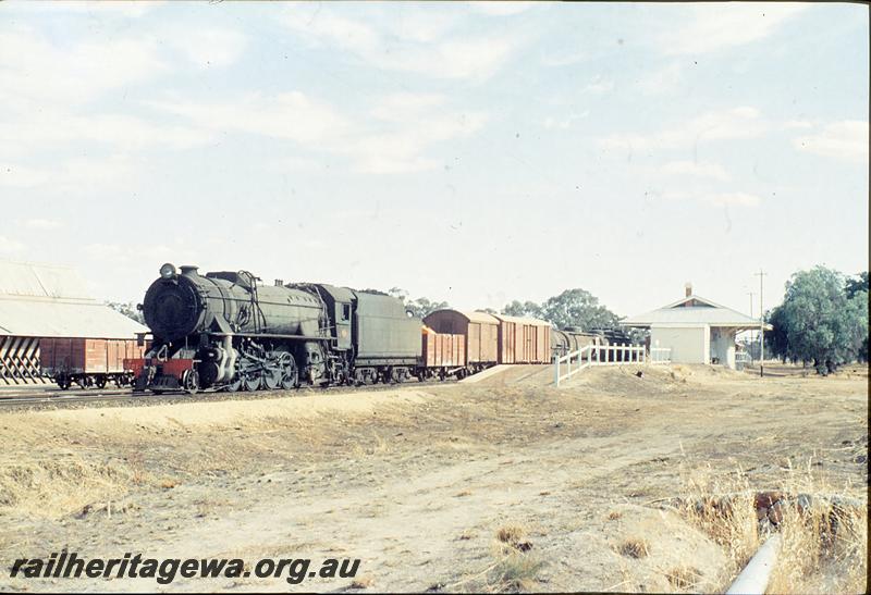 P12463
V class 1221, wheat bin, platform, station building, goods train at Popanyinning, GSR line.
