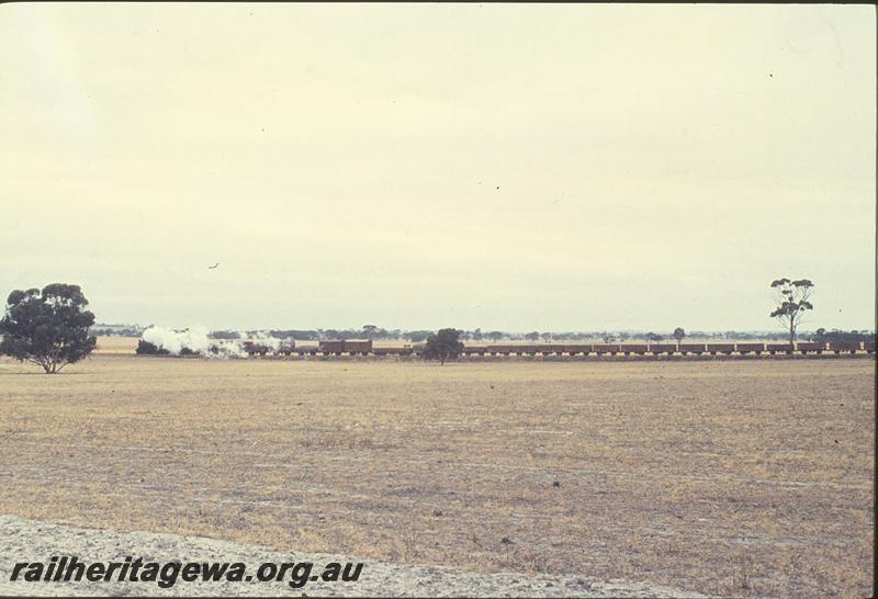 P12465
W class 943, No 59 goods, near Boundain, NWM line.
