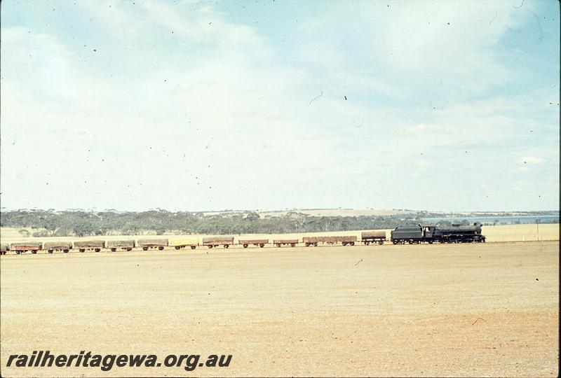 P12470
W class, water gin attached, No 54 goods, west of Nippering, WLG line. Dumbleyung Lake in background.
