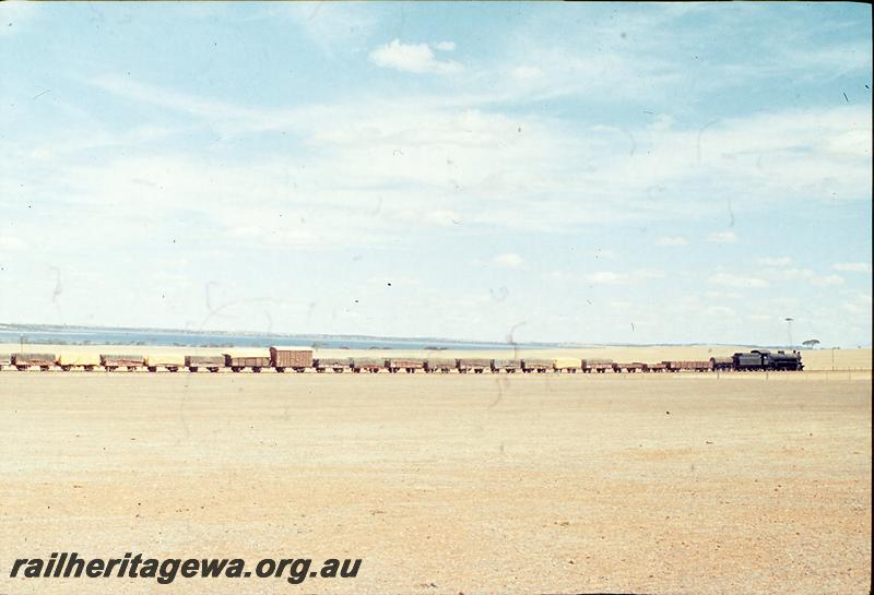 P12471
W class, water gin attached, No 54 goods, west of Nippering, WLG line. Dumbleyung Lake in background.
