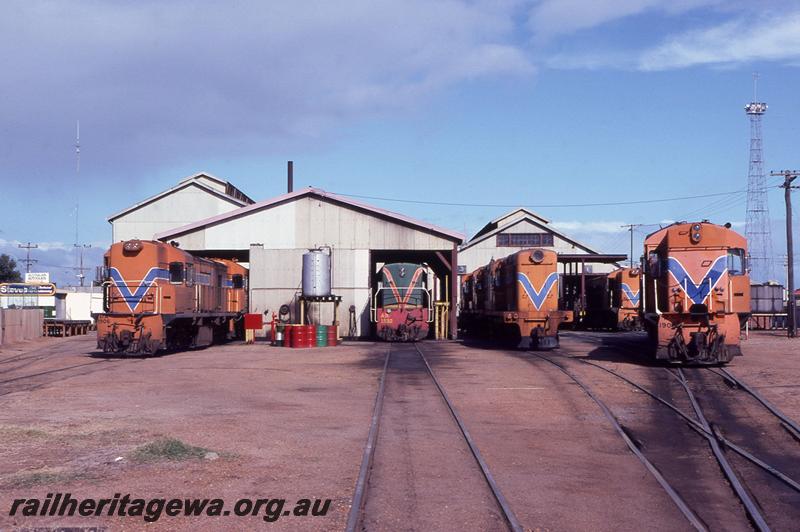P12518
RA class 1906, AB class 1532, Y class 1113, R class 1904, Geraldton loco depot, NR line
