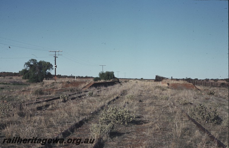 P13451
Abandoned platforms, overgrown sidings, Wurarga, NR line, view looking along the line
