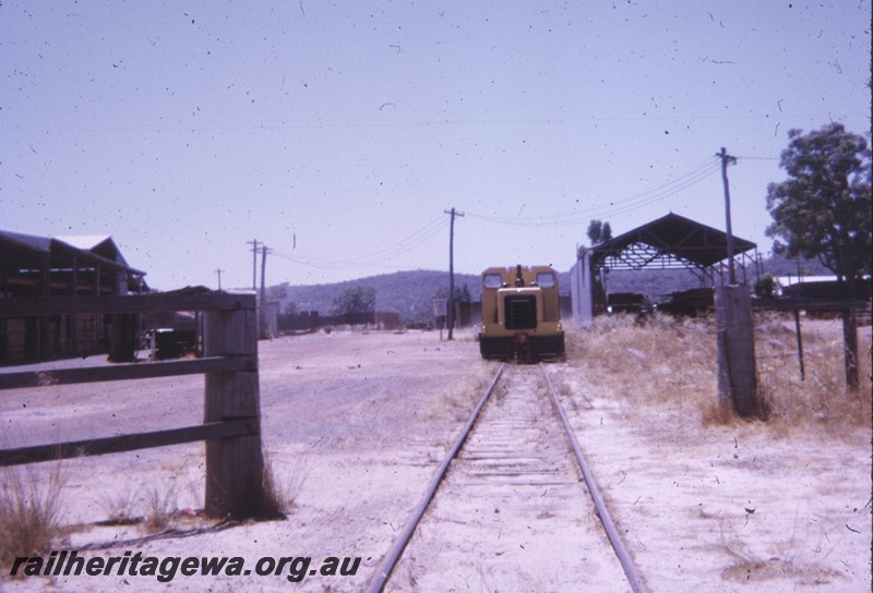 P14354
Millars diesel loco, front view, Yarloop.
