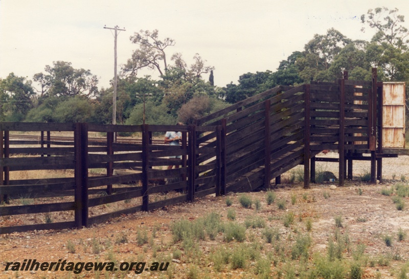 P14760
8 of 8 images of the stockyard at Mundijong, SWR line. Loading ramp with gates, side view.
